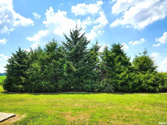 $349,900 | 232 Palm Lane, Louisville, IL 62858