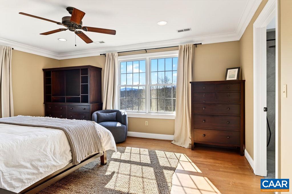 777 Emmaeus Road Afton, VA 22920 - Photo 29 of 75