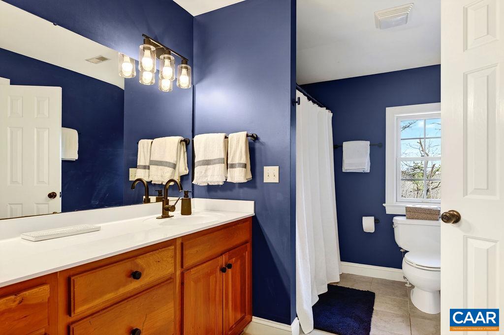 777 Emmaeus Road Afton, VA 22920 - Photo 41 of 75