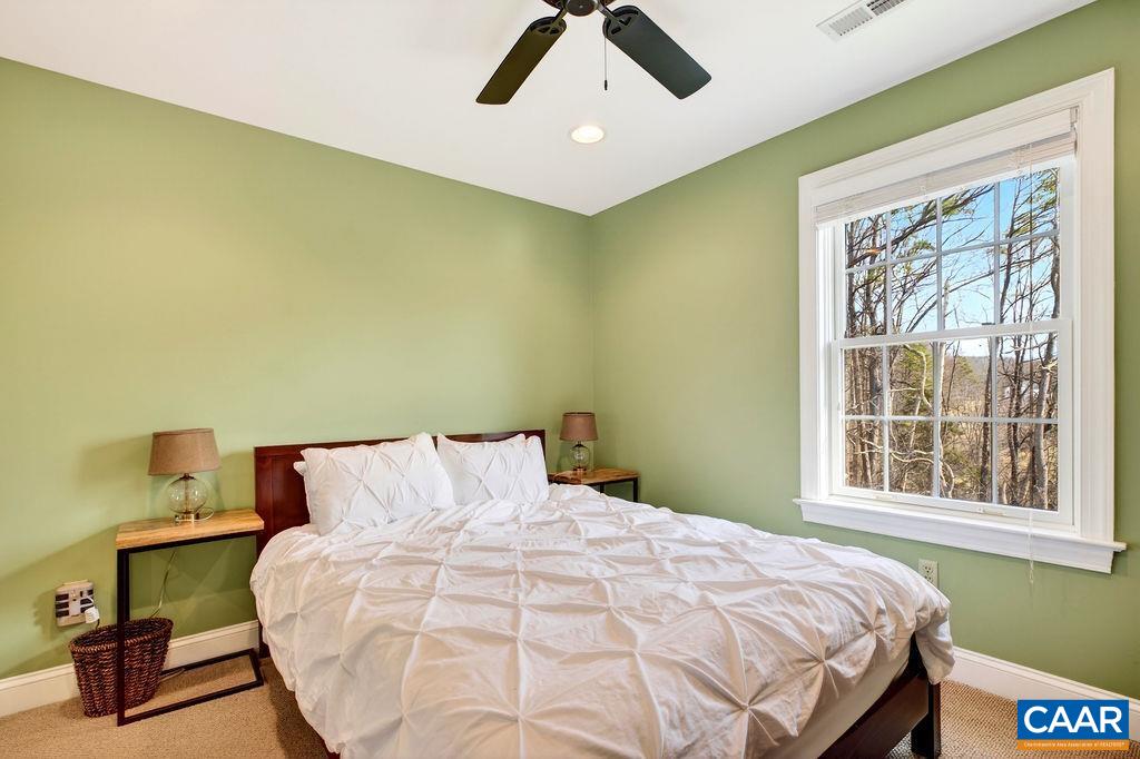 777 Emmaeus Road Afton, VA 22920 - Photo 43 of 75