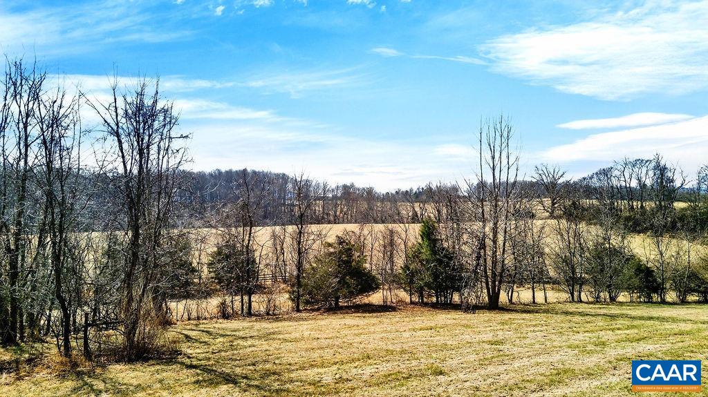 777 Emmaeus Road Afton, VA 22920 - Photo 69 of 75