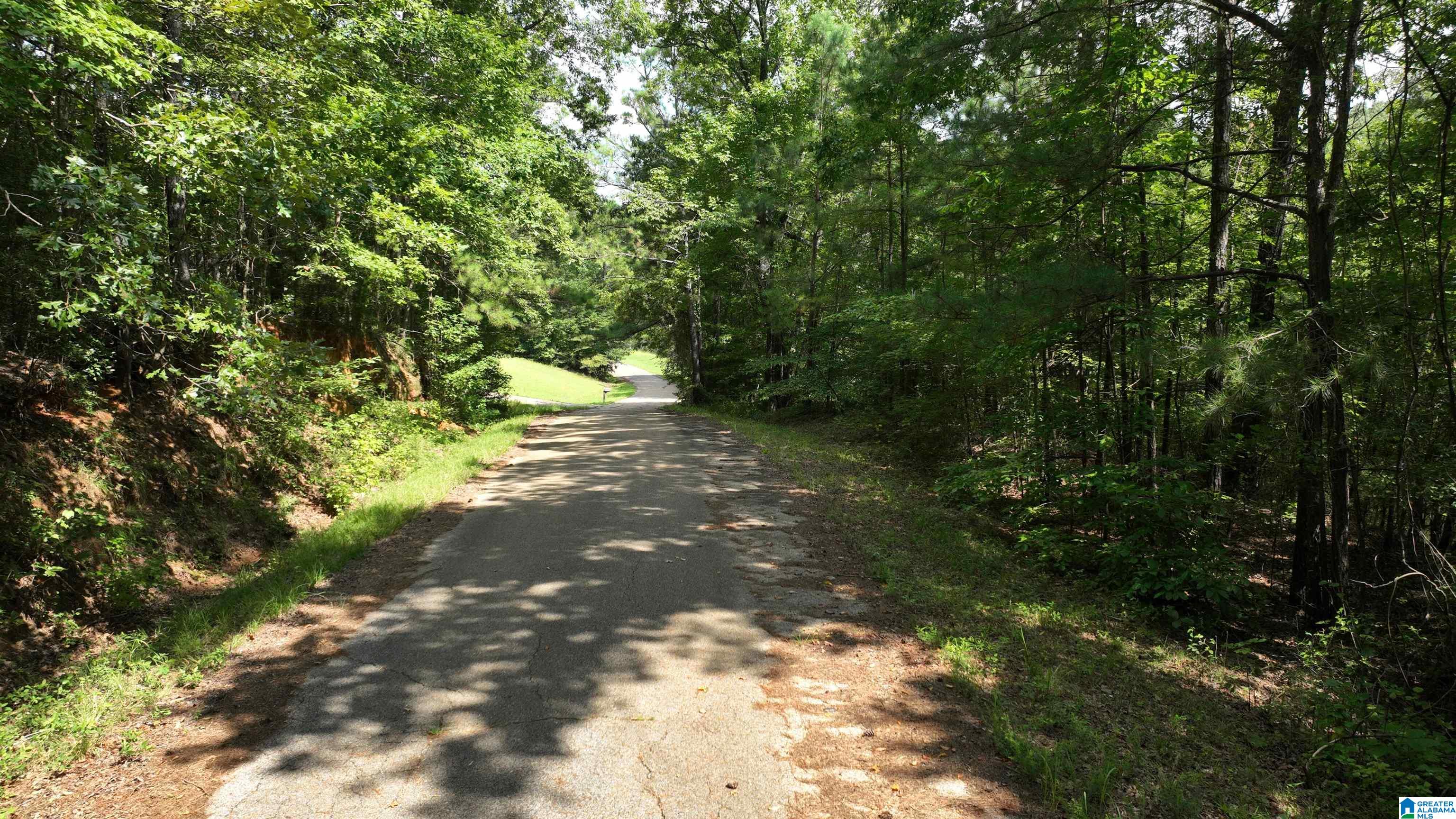 0 Oak Creek Road Fayette, AL 35555 - Photo 6 of 12