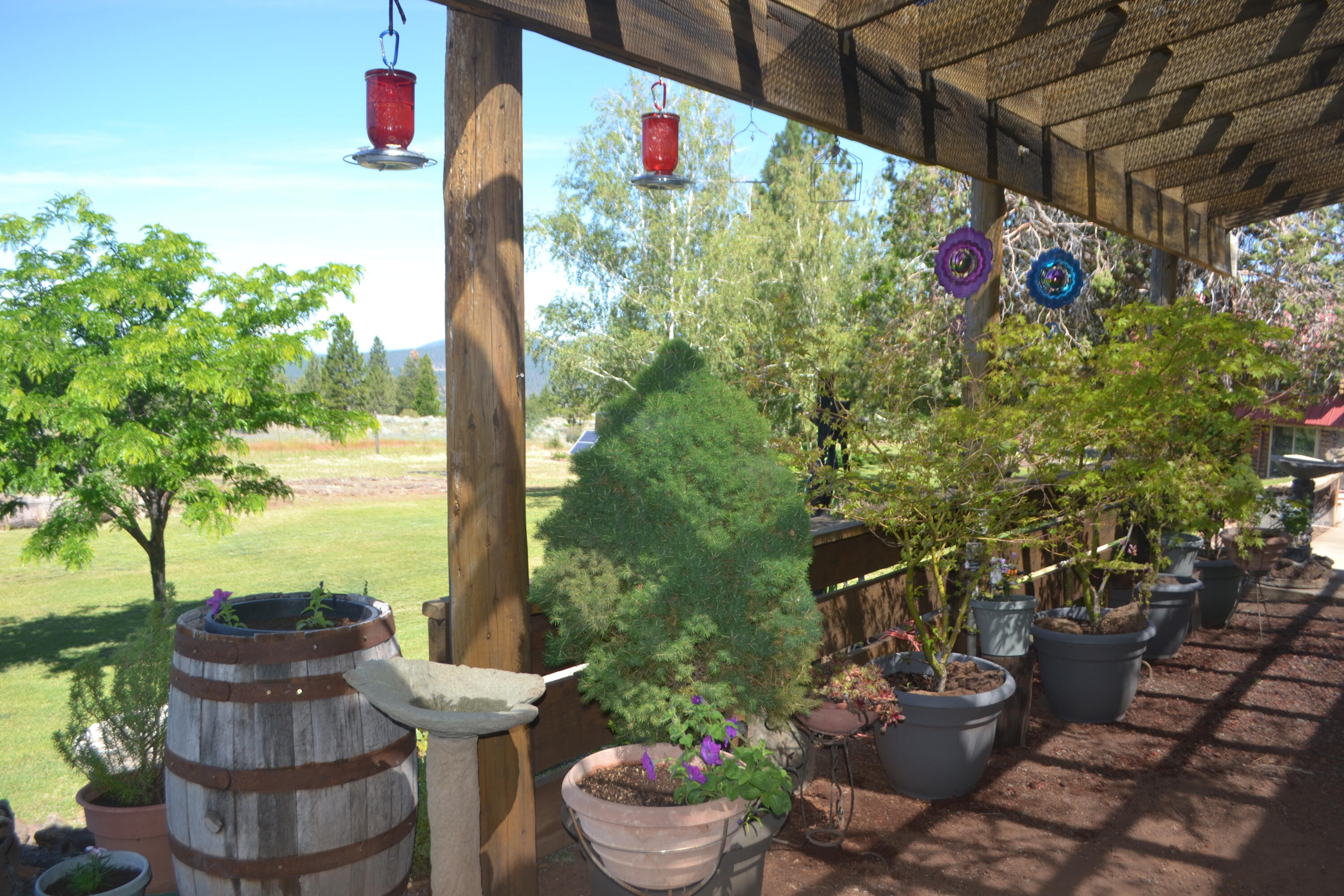 542-405 Punkin Center Road Bieber, CA 96009 - Photo 92 of 127 SHOP PATIO (3)