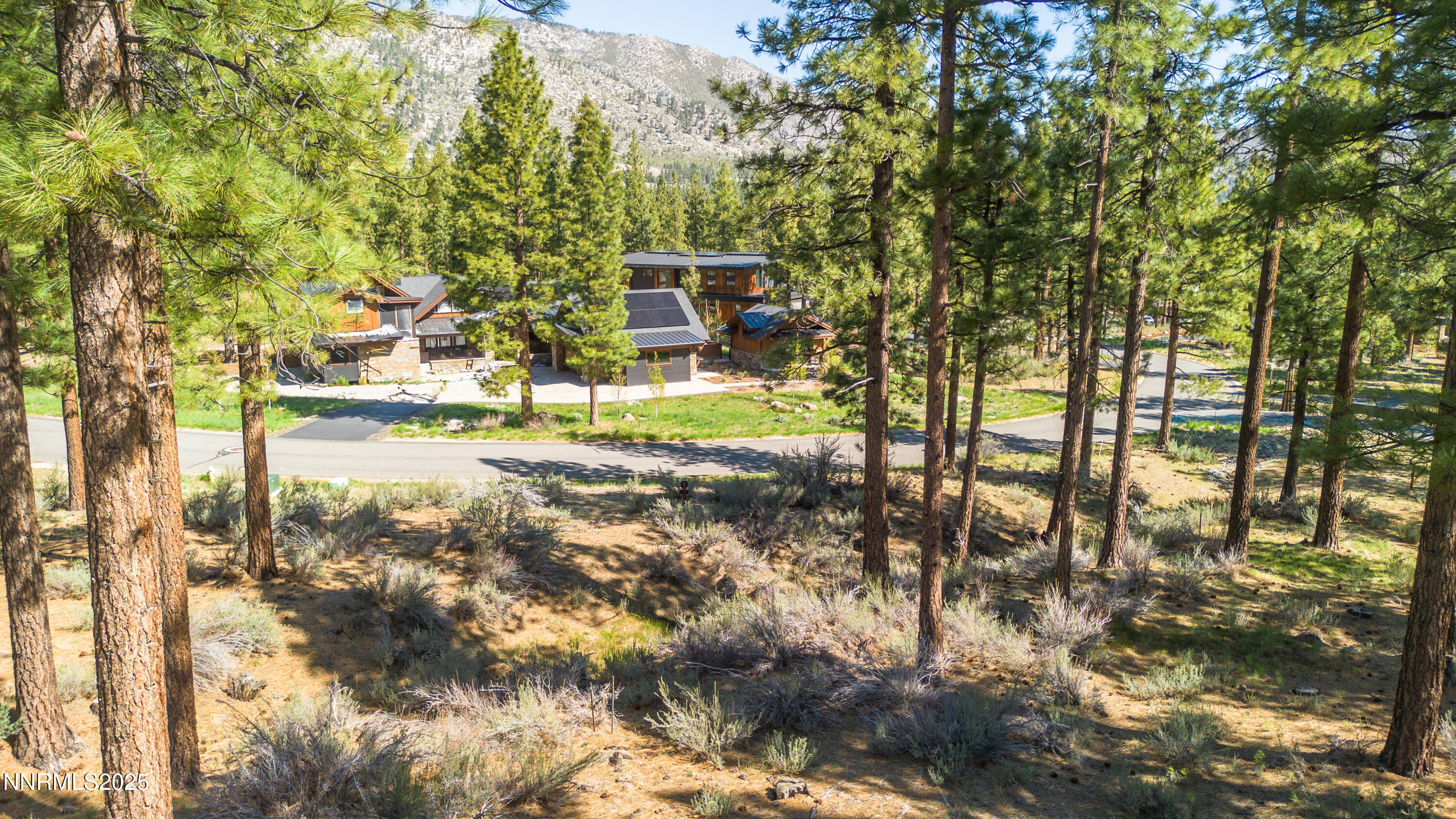 249 Redding Way, Unit 225 Carson City, NV 89705 - Photo 17 of 28 a view of a yard with plants and trees