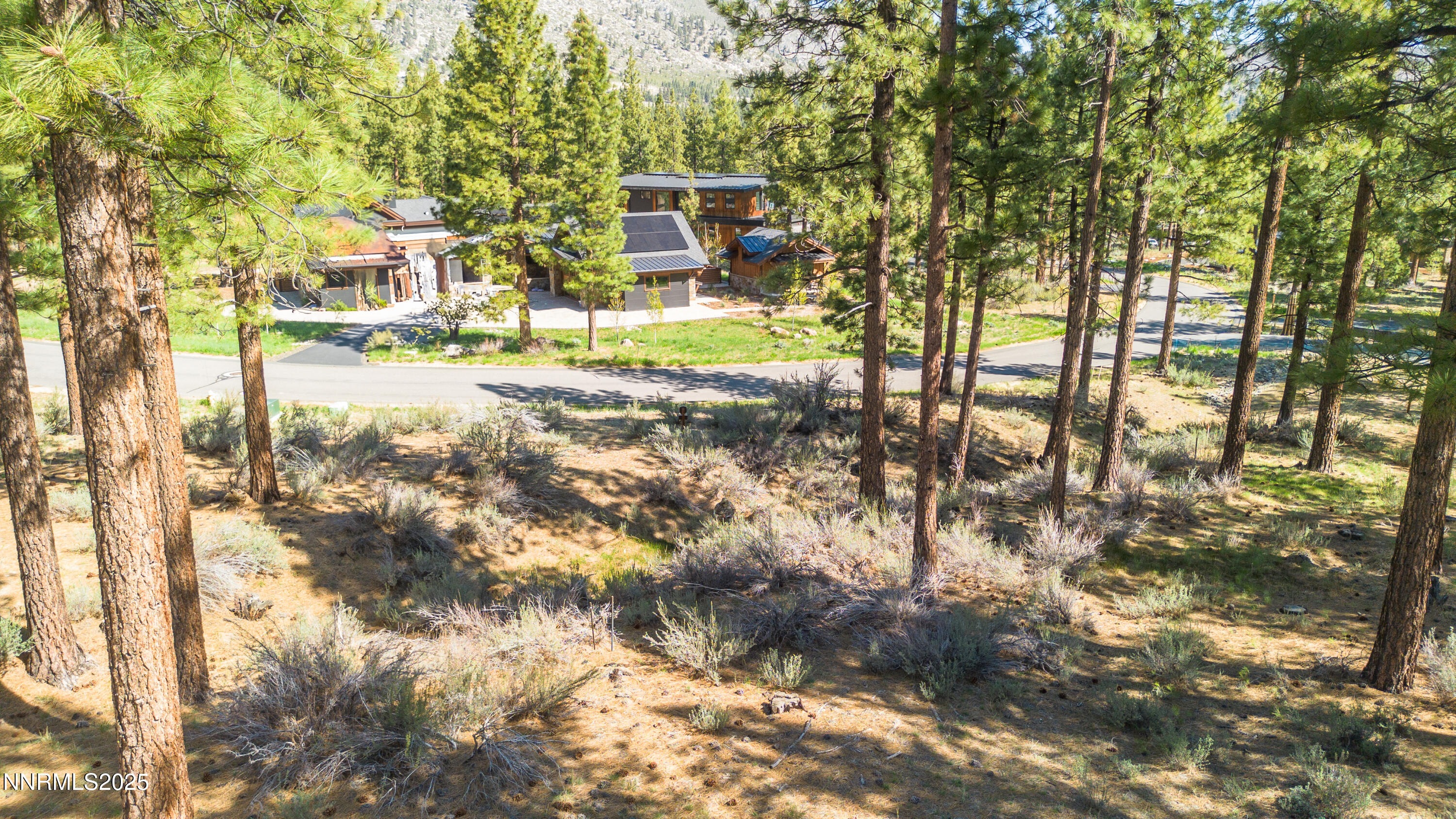 249 Redding Way, Unit 225 Carson City, NV 89705 - Photo 18 of 28 a view of yard with tree