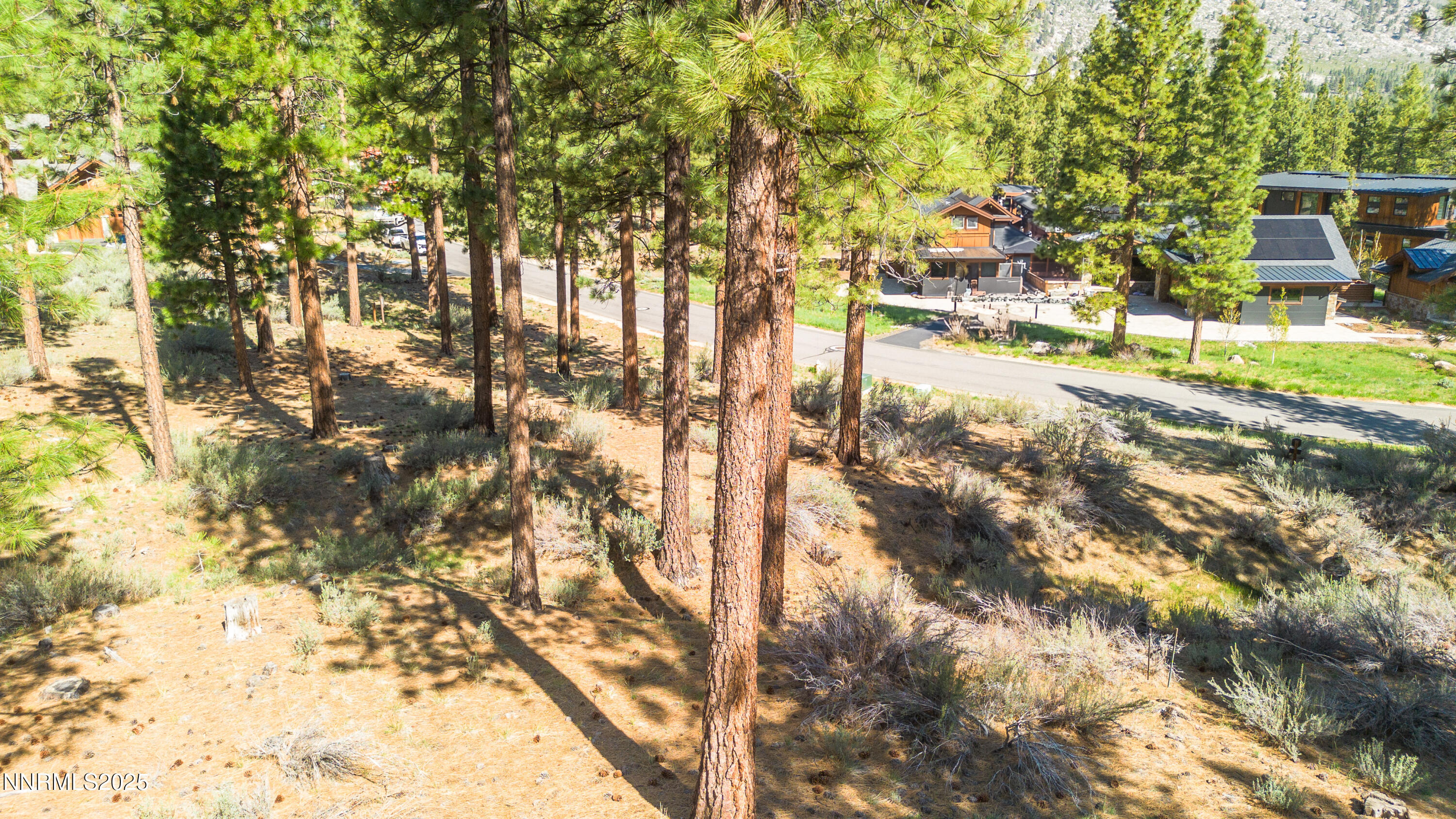 249 Redding Way, Unit 225 Carson City, NV 89705 - Photo 19 of 28 a view of yard with large trees