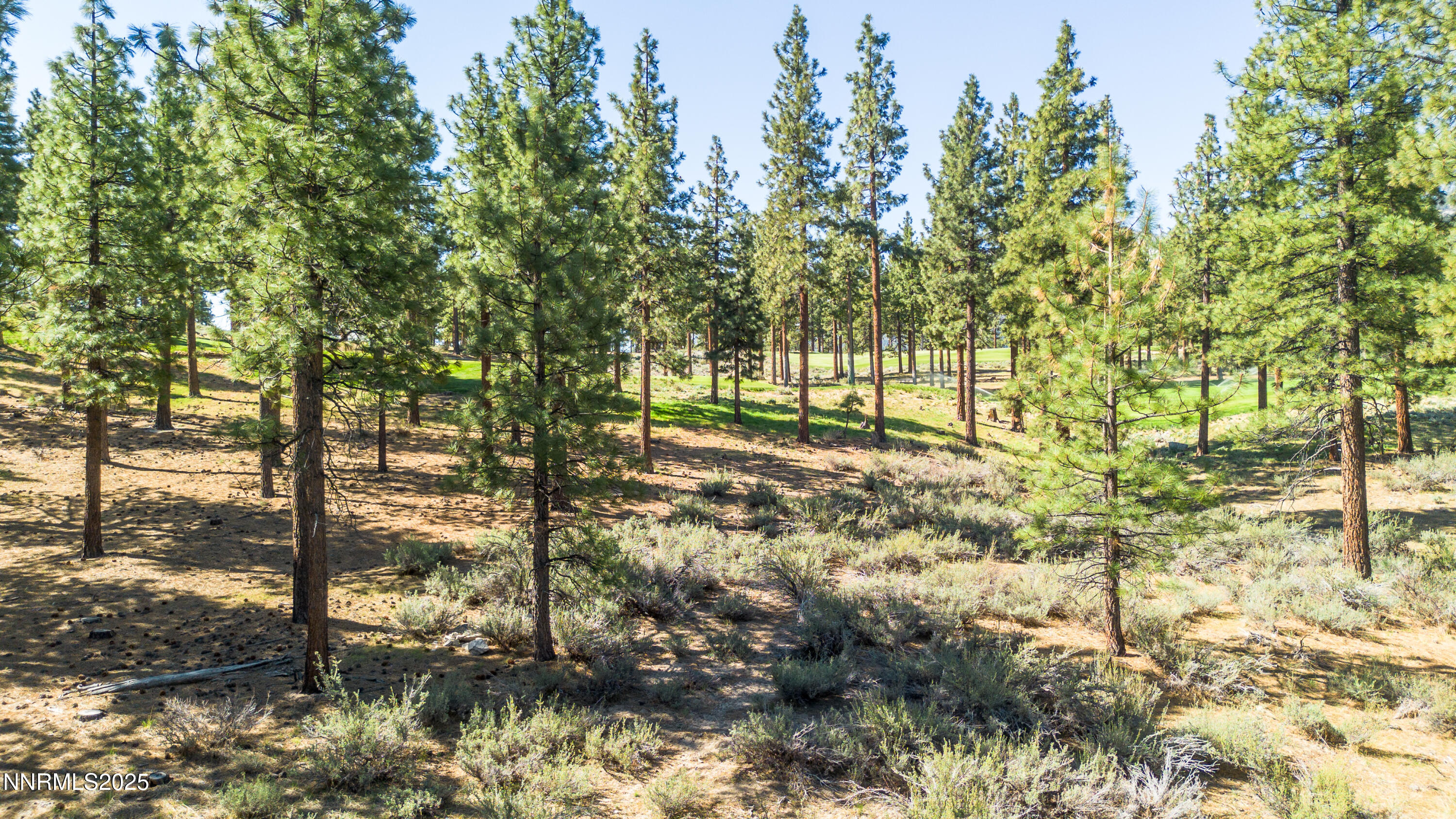 249 Redding Way, Unit 225 Carson City, NV 89705 - Photo 21 of 28 a view of backyard space
