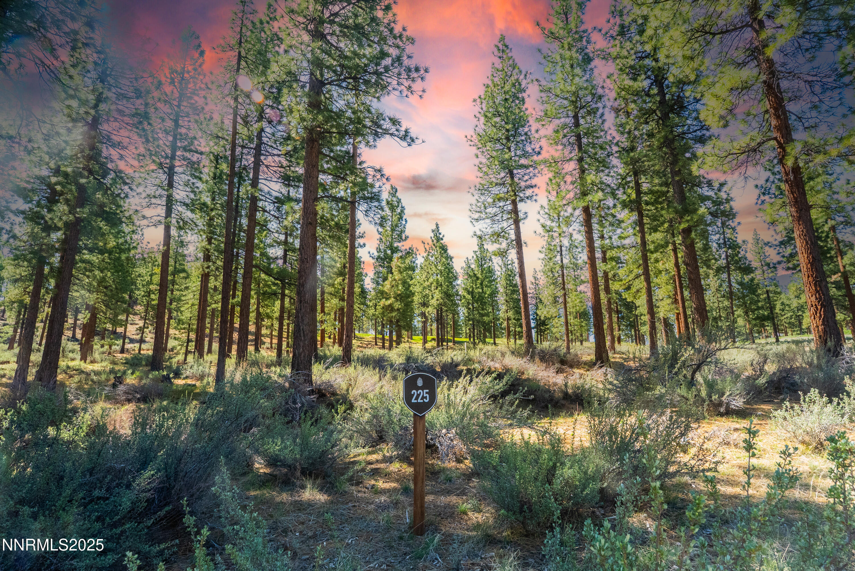 249 Redding Way, Unit 225 Carson City, NV 89705 - Photo 26 of 28 a view of outdoor space and trees
