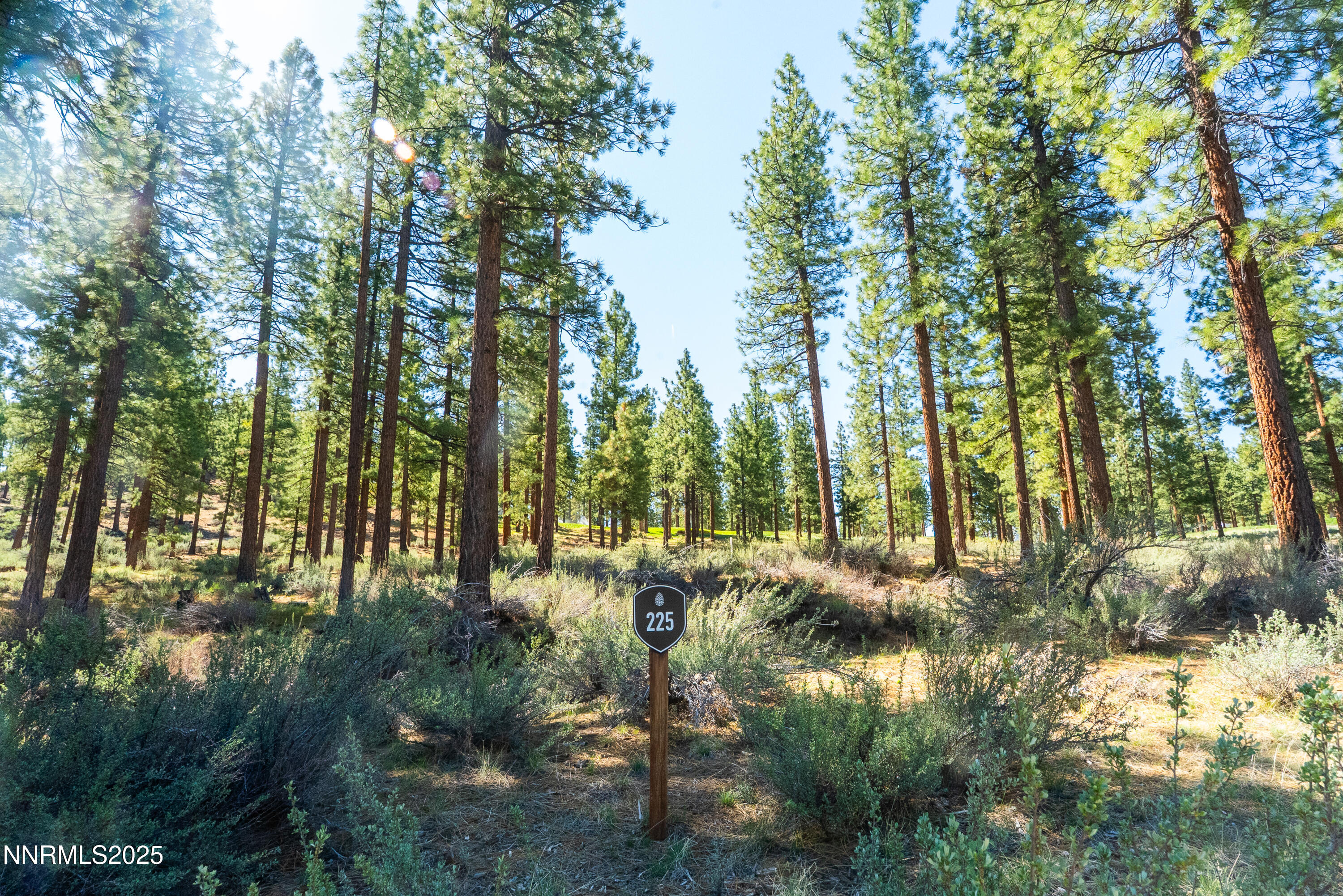 249 Redding Way, Unit 225 Carson City, NV 89705 - Photo 3 of 28 a view of outdoor space and trees