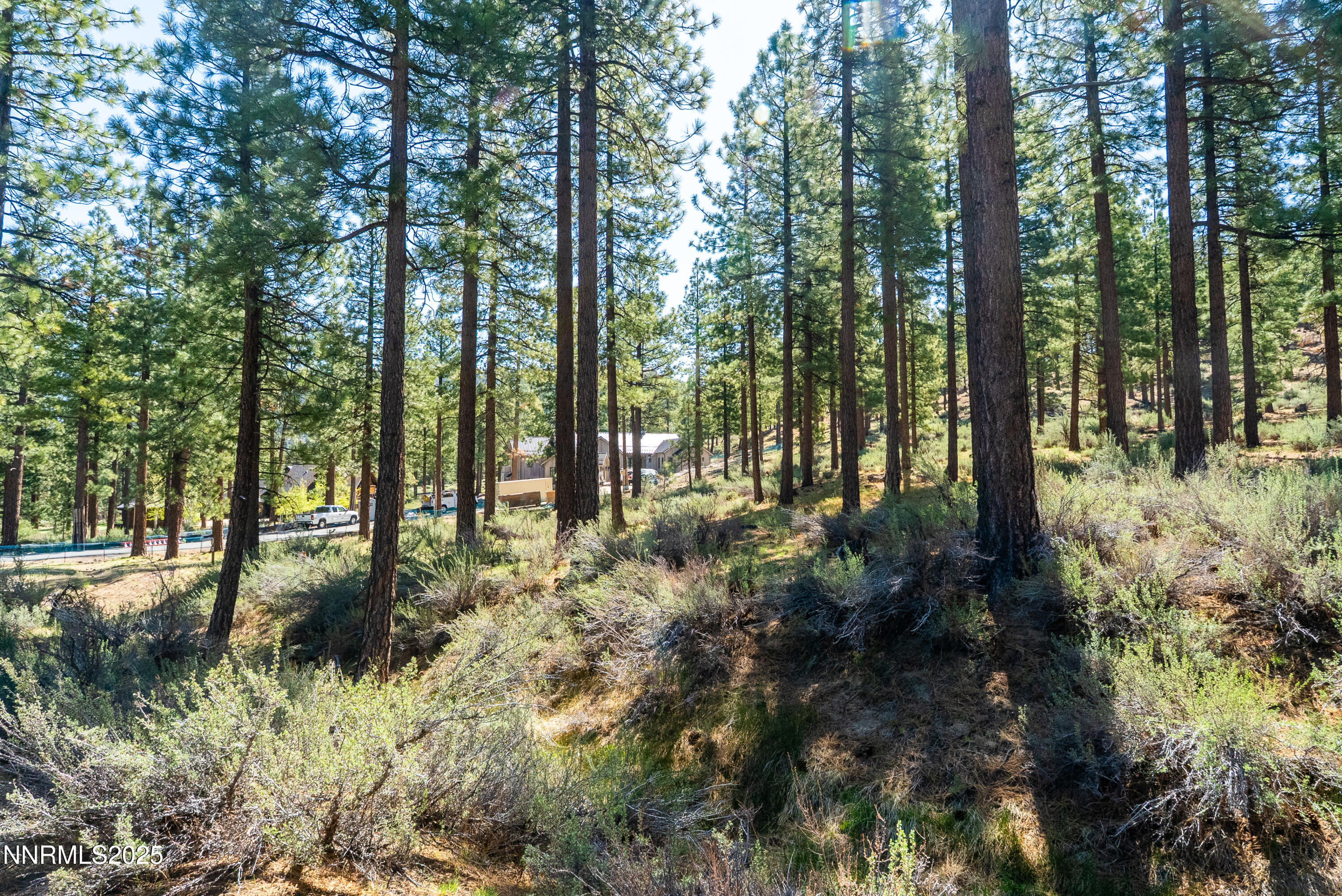 249 Redding Way, Unit 225 Carson City, NV 89705 - Photo 4 of 28 a view of outdoor space and trees