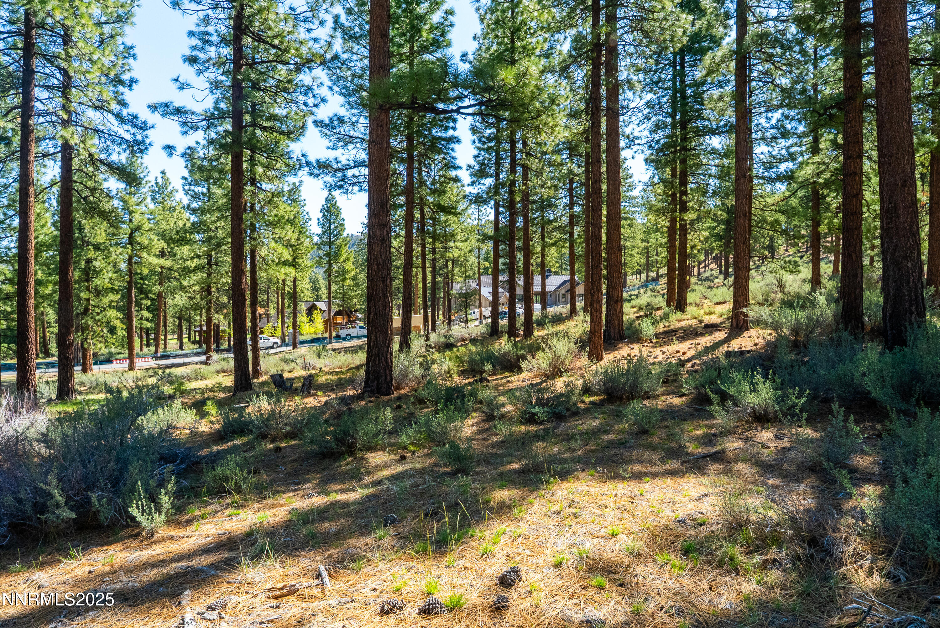 249 Redding Way, Unit 225 Carson City, NV 89705 - Photo 6 of 28 a backyard of a house with lots of green space