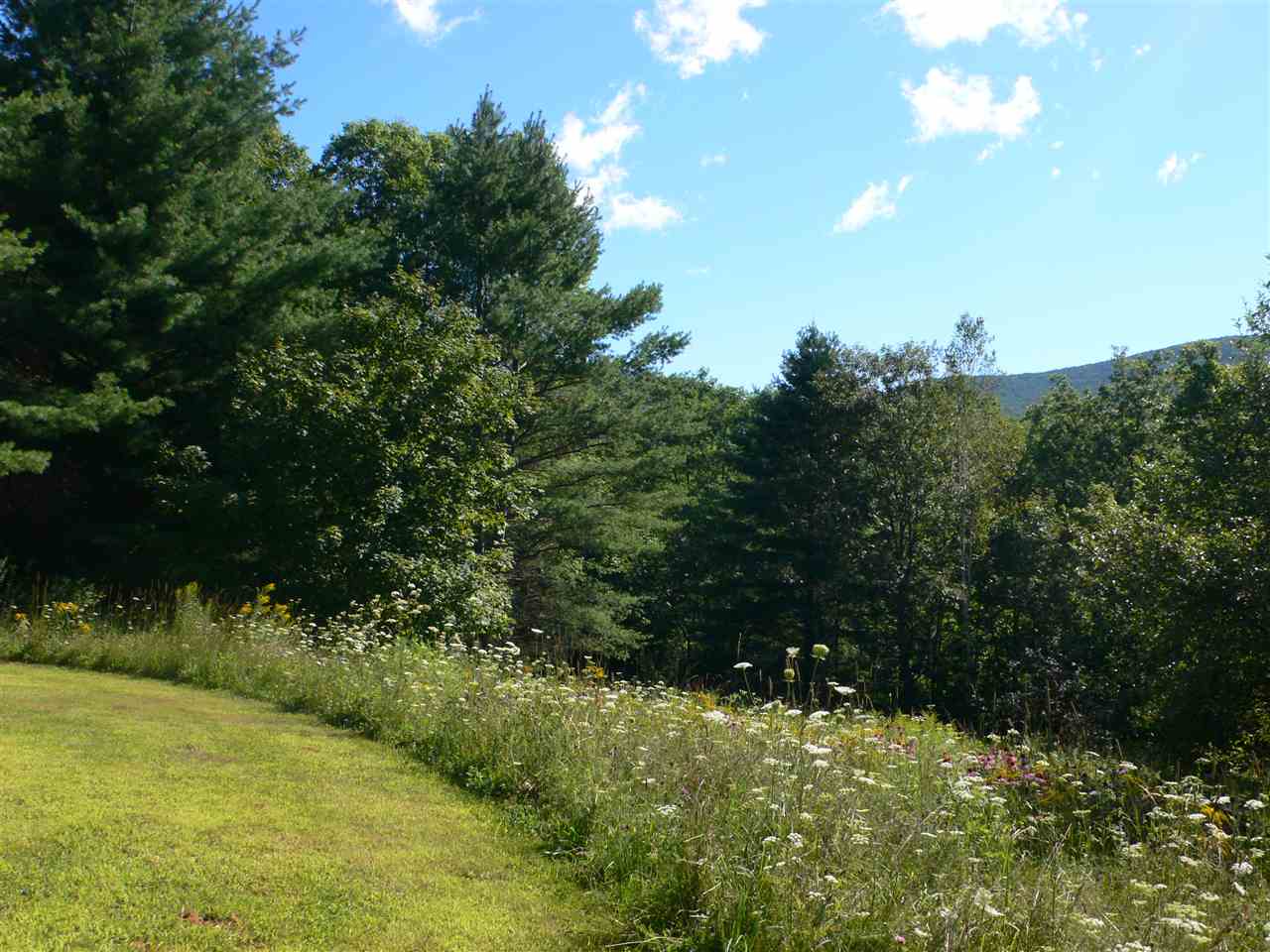 711 High Meadow Way Manchester, VT 05255 - Photo 28 of 29 Gallery Image 28