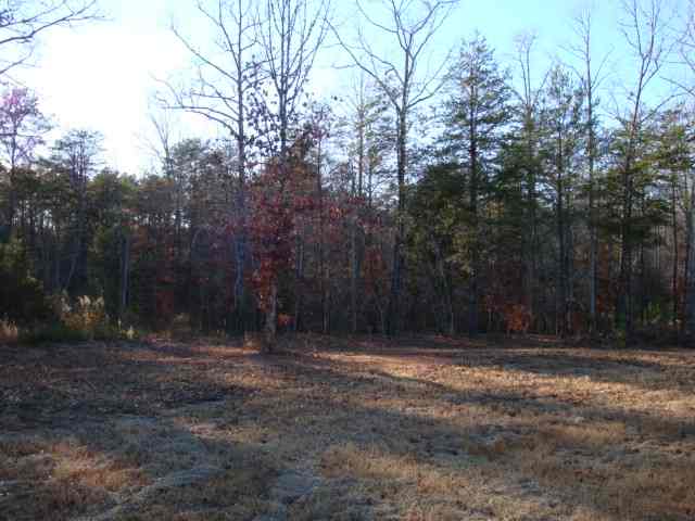 111 City Lake Road Pickens, SC 29671 - Photo 3 of 20