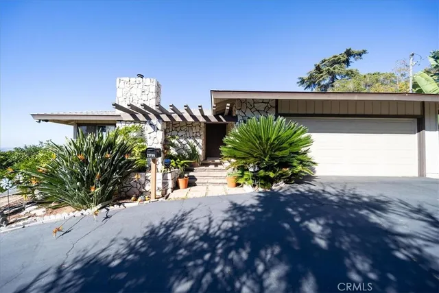 a view of a flower pot with a street