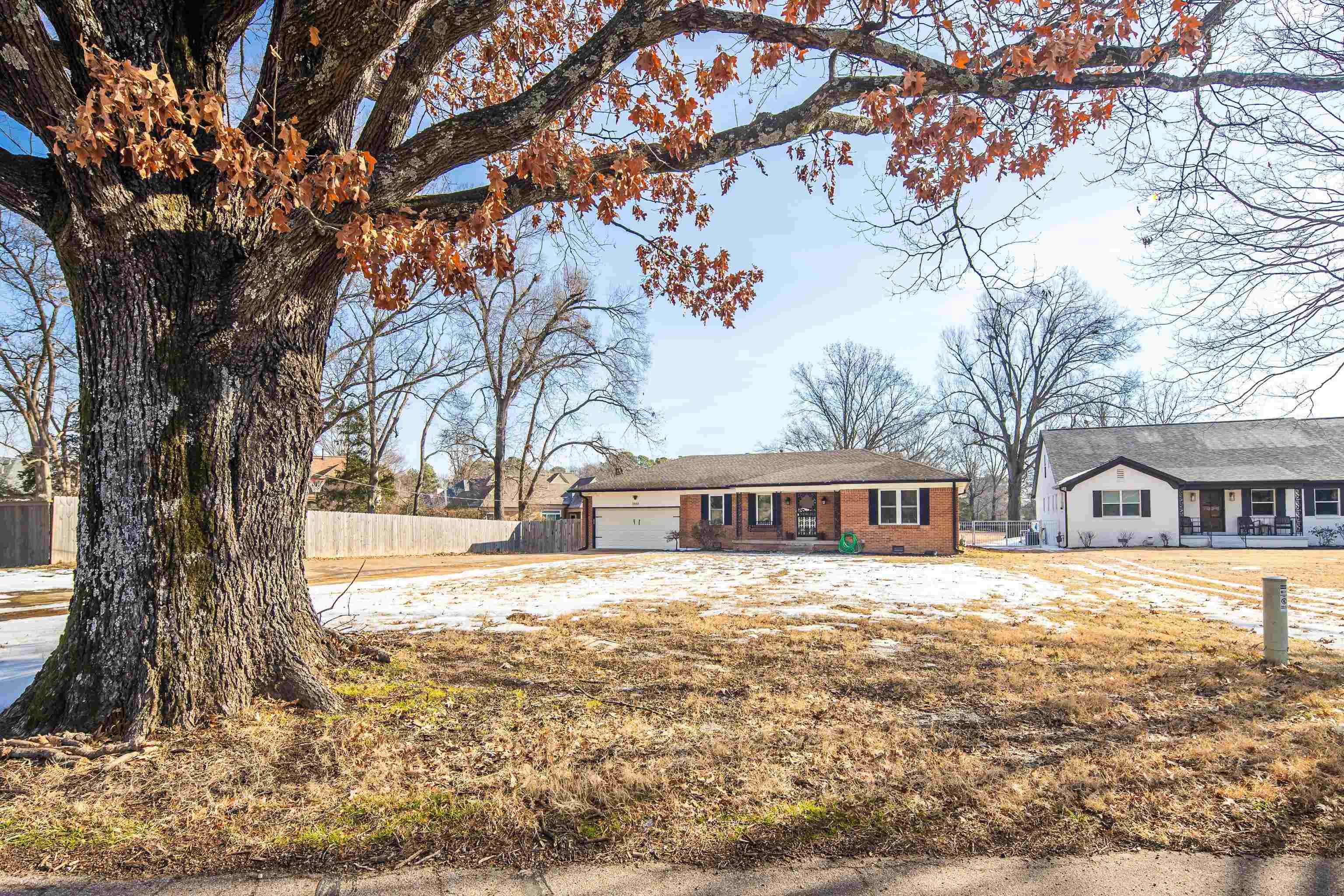 a view of a yard with a tree