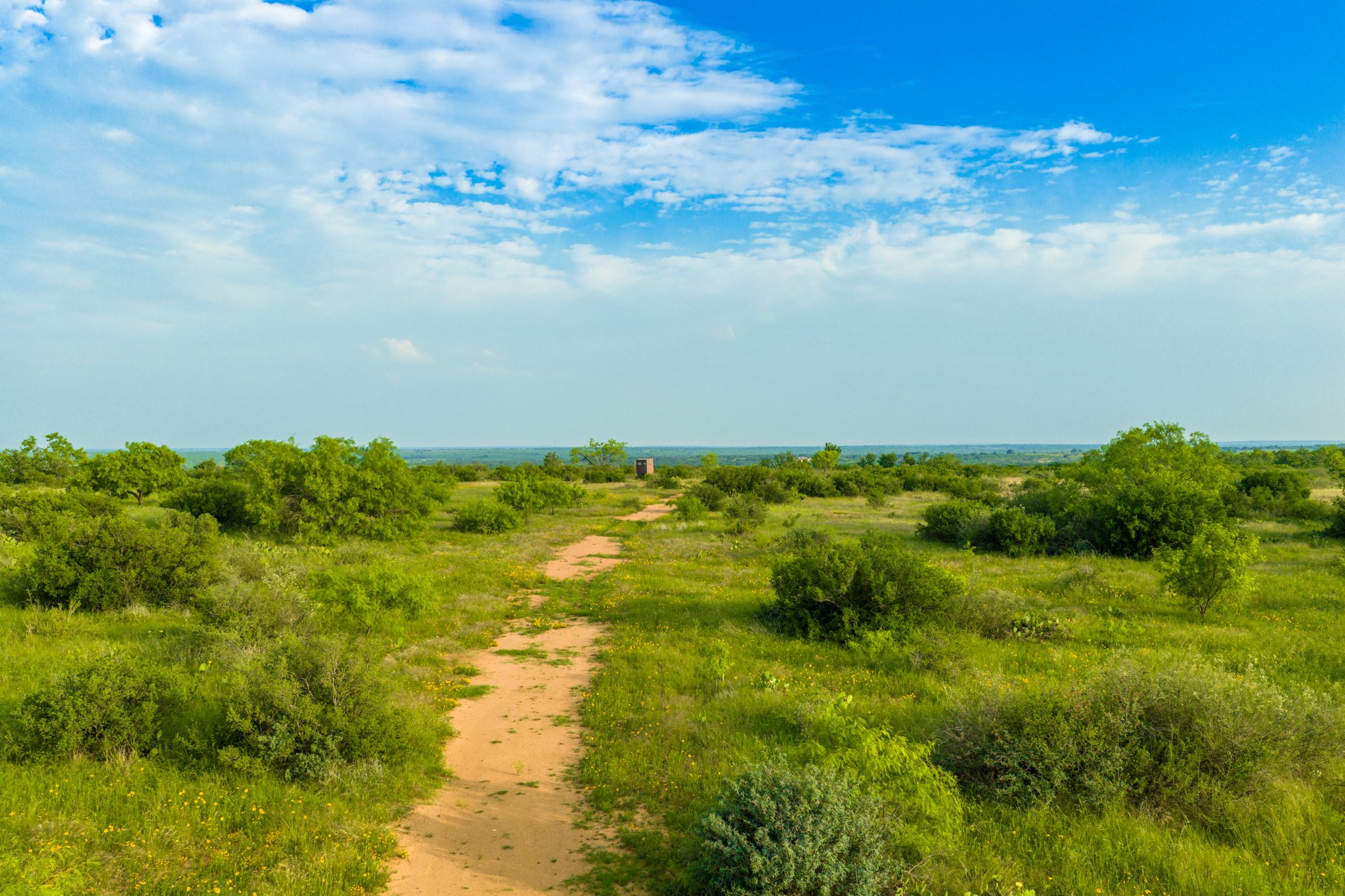 11079 Cr 266 Rochelle Tx 76872 Rochelle, TX 76872 - Photo 20 of 40 Expansive undeveloped land featuring a natural earth path, abundant green vegetation, mature shrubs, and a clear blue sky