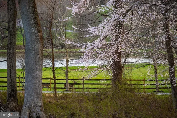 a view of swimming pool from a yard