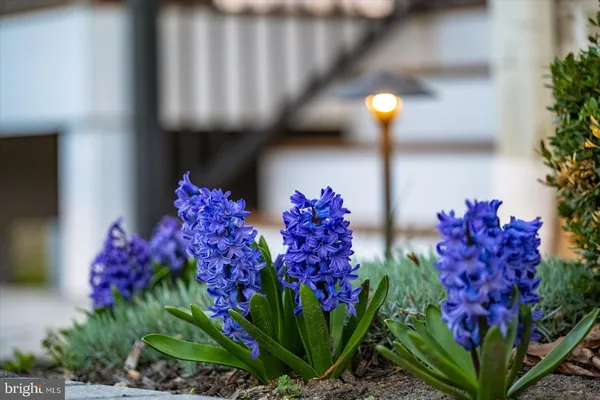 $1,800,000 | 6287 Heather Glen Way, Clarksville, MD 21029