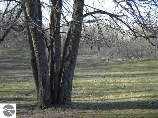 10861 East 20 Road Manton, MI 49663 - Photo 13 of 15 1691019-12.JPG