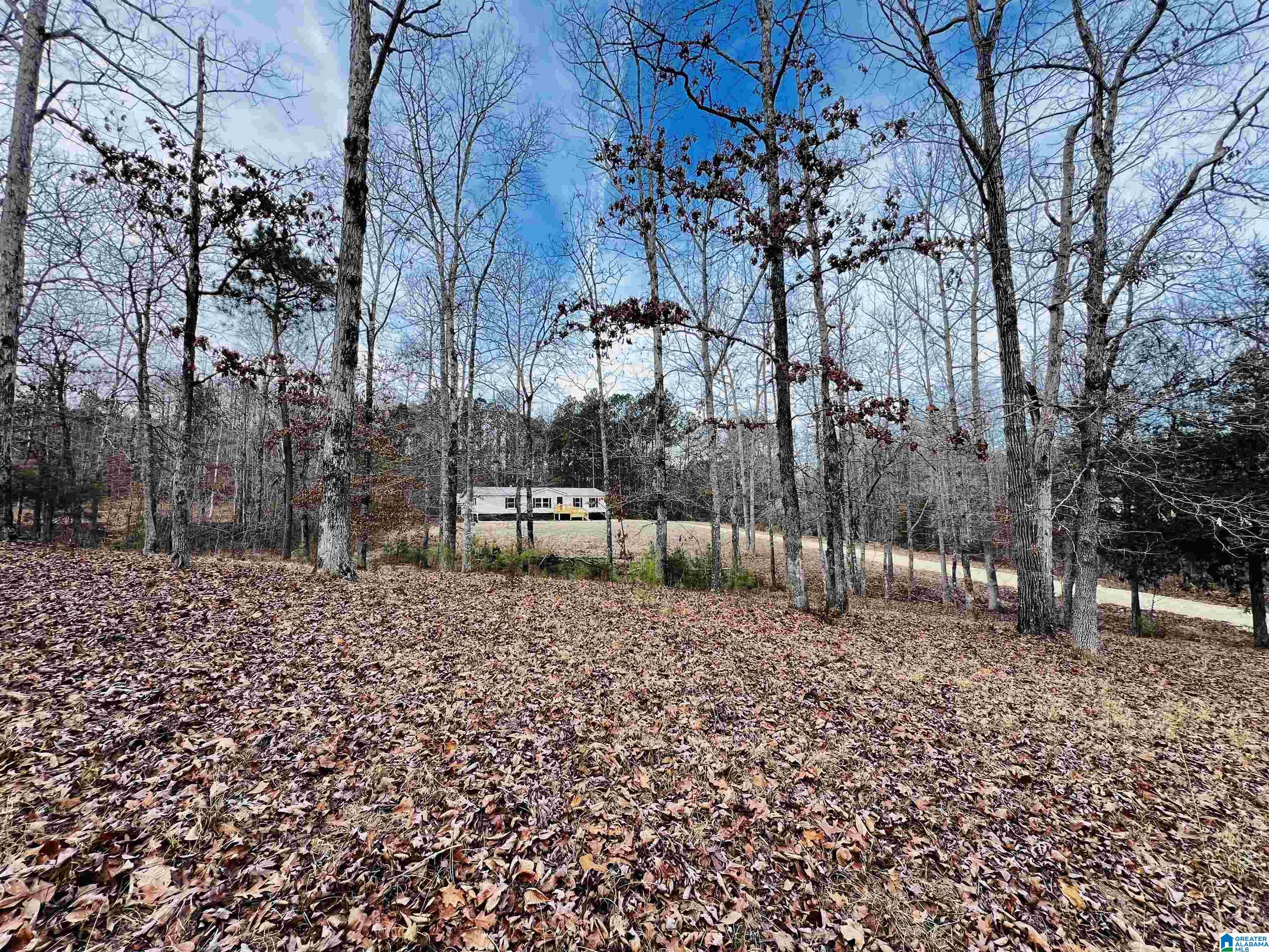 2415 Francis Mill Road Ohatchee, AL 36271 - Photo 39 of 44