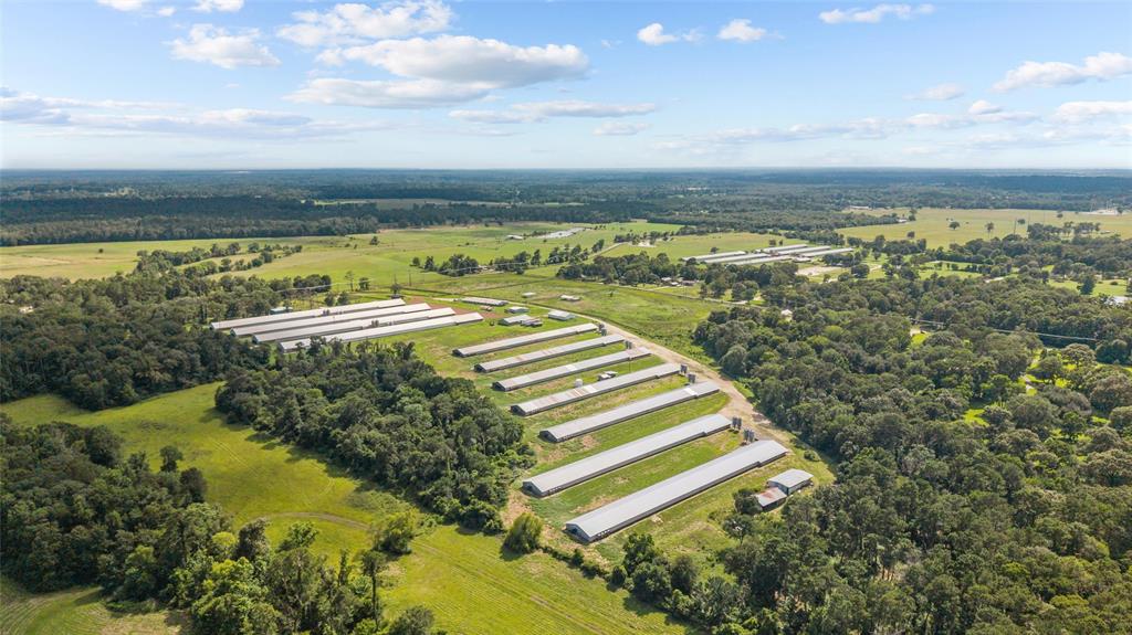 3216 Old Ewing Road Lufkin, TX 75901 - Photo 8 of 24 Expansive agricultural property featuring multiple pou, extensive open land, and perimeter fencing