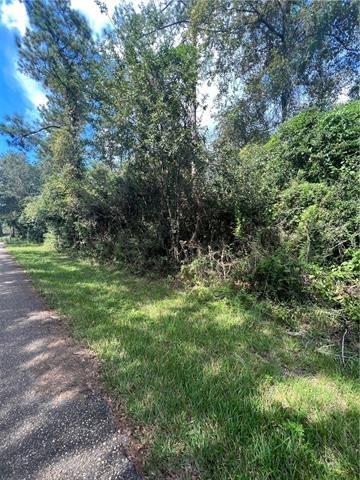 0 Elvis Taylor Road Bush, LA 70431 - Photo 5 of 5