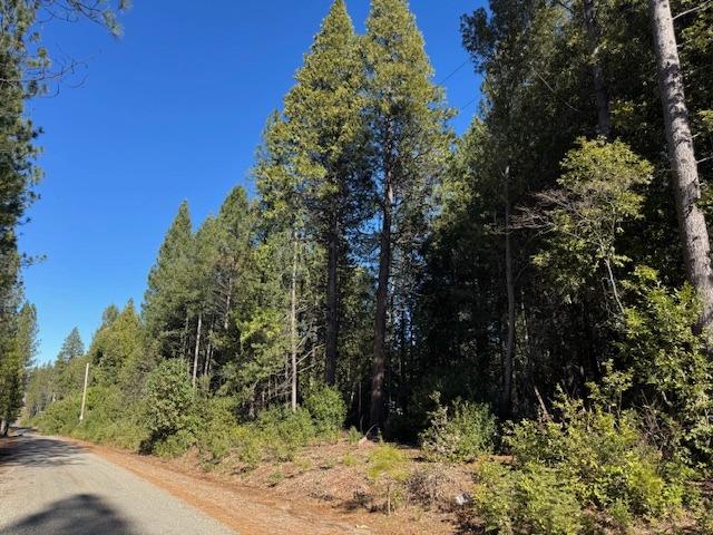 17303 Indiana Ranch Road Challenge, CA 95925 - Photo 1 of 1 Gallery Image 1
