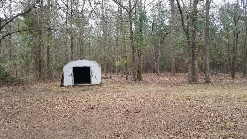 4210 Plaudit Road Lizella, GA 31052 - Photo 5 of 13 Additional Photo