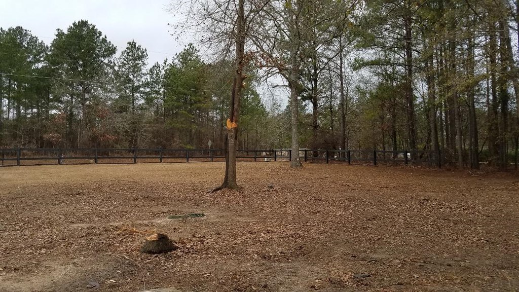 4210 Plaudit Road Lizella, GA 31052 - Photo 7 of 13 Additional Photo