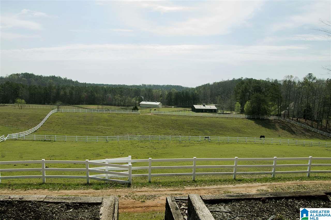 1066 Signal Valley Trail Chelsea, AL 35043 - Photo 30 of 40