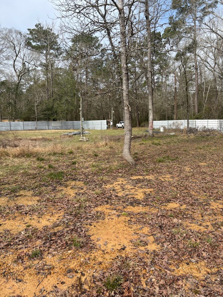 41 Deer Run Road Shepherd, TX 77371 - Photo 5 of 6 a backyard of a house with lots of green space