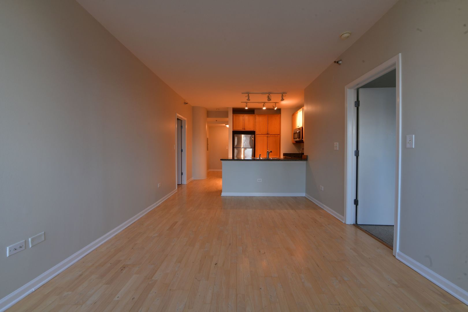 1255 South State Street, Unit 1201 Chicago, IL 60605 - Photo 7 of 20