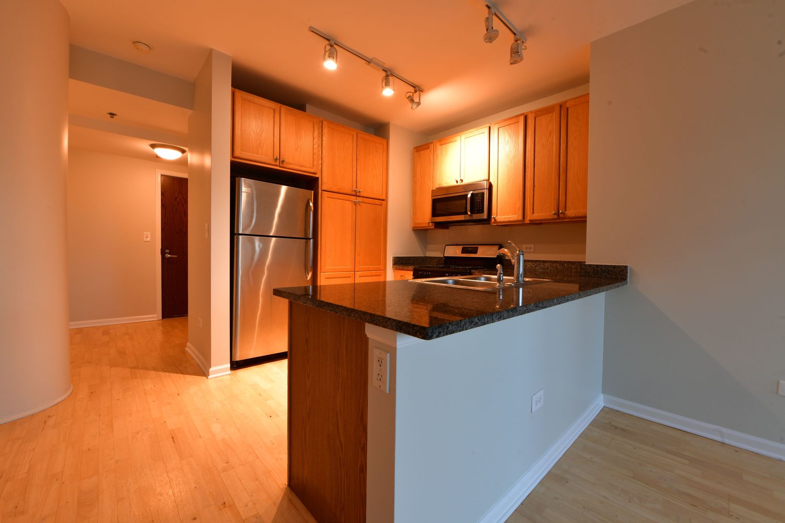 1255 South State Street, Unit 1201 Chicago, IL 60605 - Photo 8 of 20