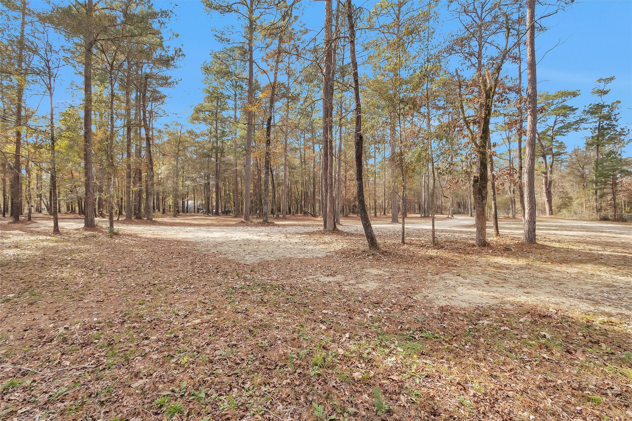 215 Fm 2929 Road Huntsville, TX 77340 - Photo 44 of 50 a view of outdoor space with trees