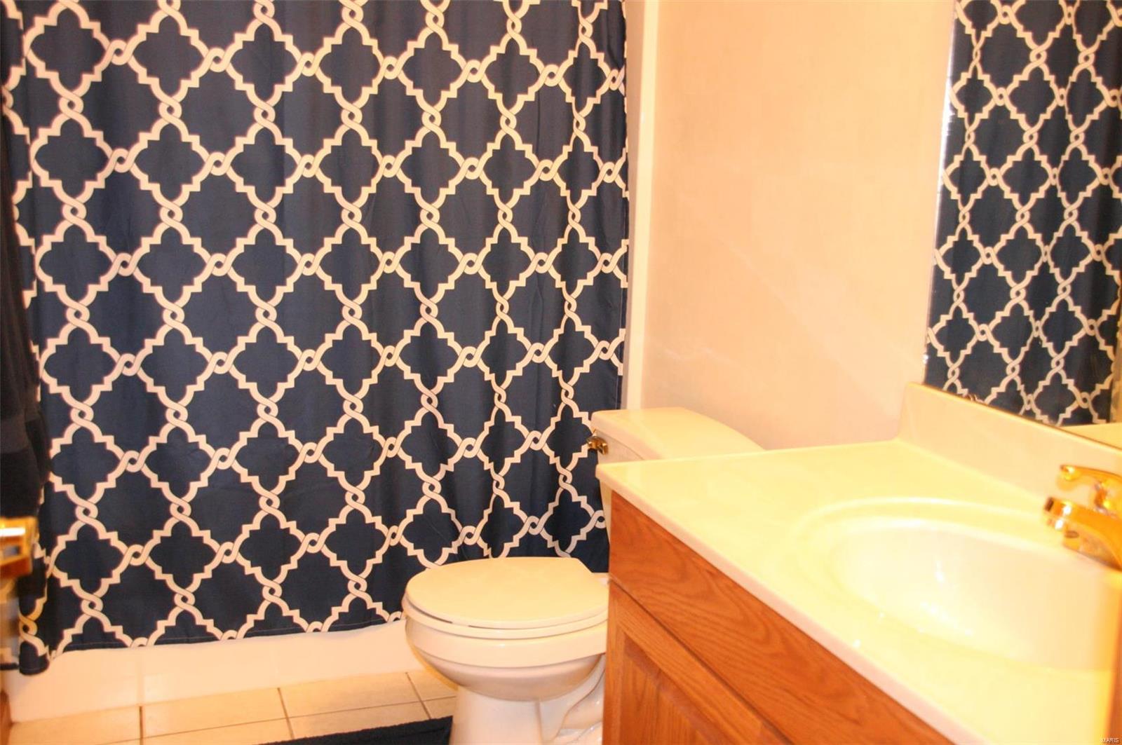 108 Summerlin Ridge O'Fallon, IL 62269 - Photo 21 of 34