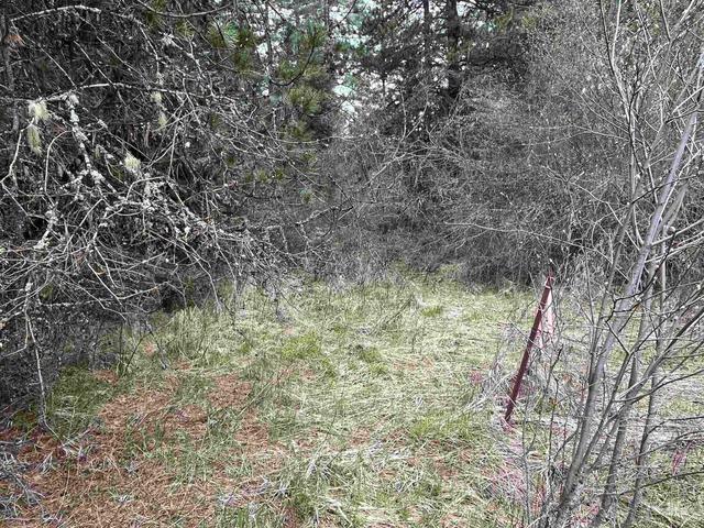 $125,000 | 3 Deary Id 83823, Deary, ID 83823