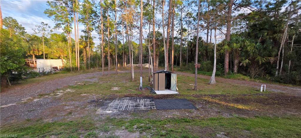 598 2nd Street Southeast Naples, FL 34117 - Photo 9 of 40 View of yard