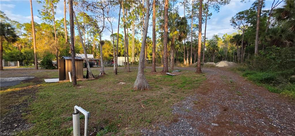 598 2nd Street Southeast Naples, FL 34117 - Photo 10 of 40 View of grassy yard