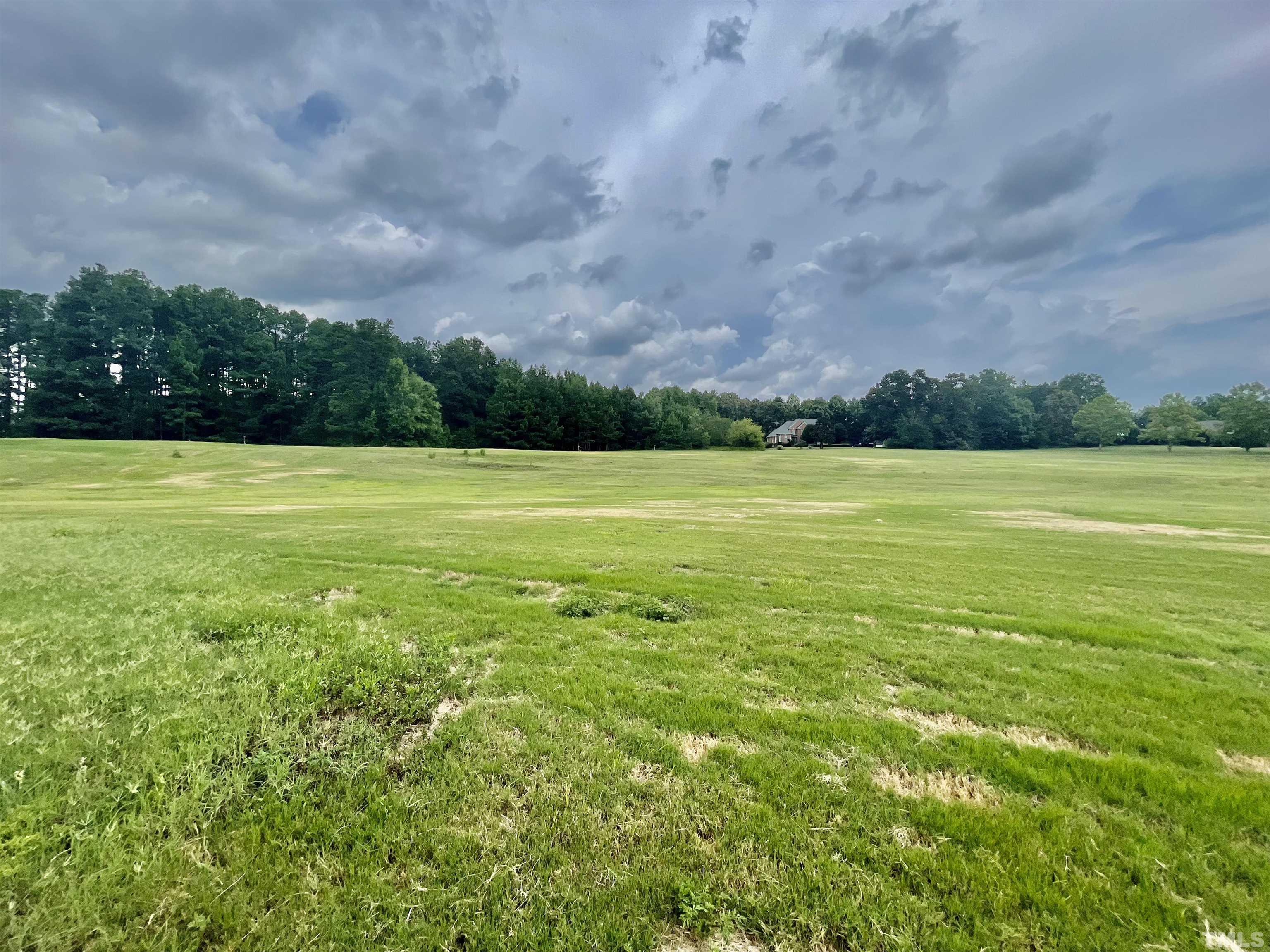 Lot 12 Chub Lake Road Roxboro, NC 27574 - Photo 5 of 9