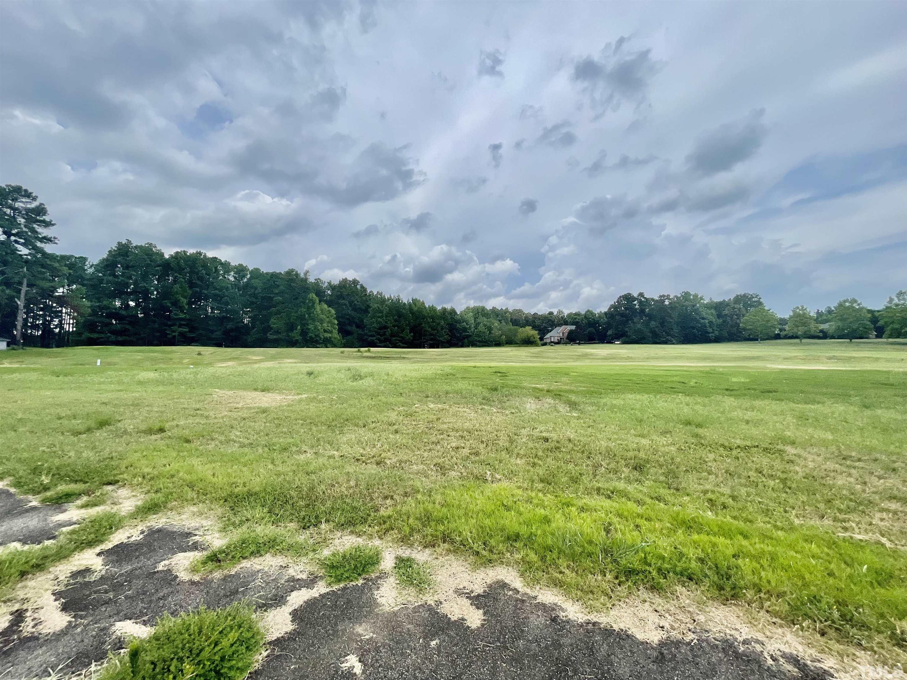 Lot 12 Chub Lake Road Roxboro, NC 27574 - Photo 6 of 9