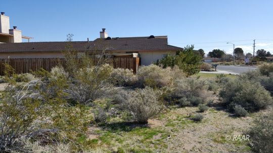 Alene 453-062-22 Ridgecrest, CA 93555 - Photo 3 of 8