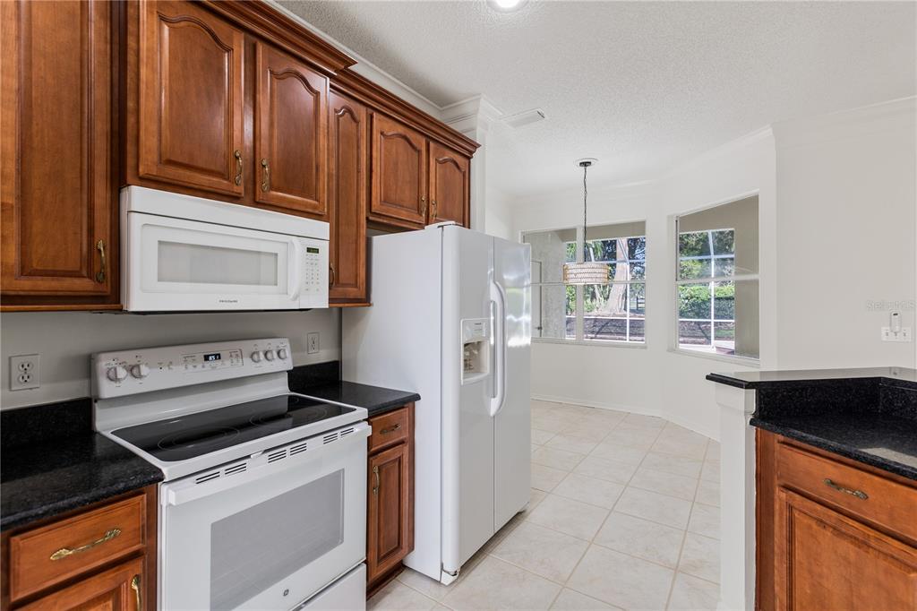 4906 Willow Ridge Terrace Valrico, FL 33596 - Photo 15 of 65 Gallery Image 15