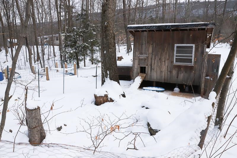1994 Lake Dunmore Road Leicester, VT 05733 - Photo 6 of 36 Gallery Image 6