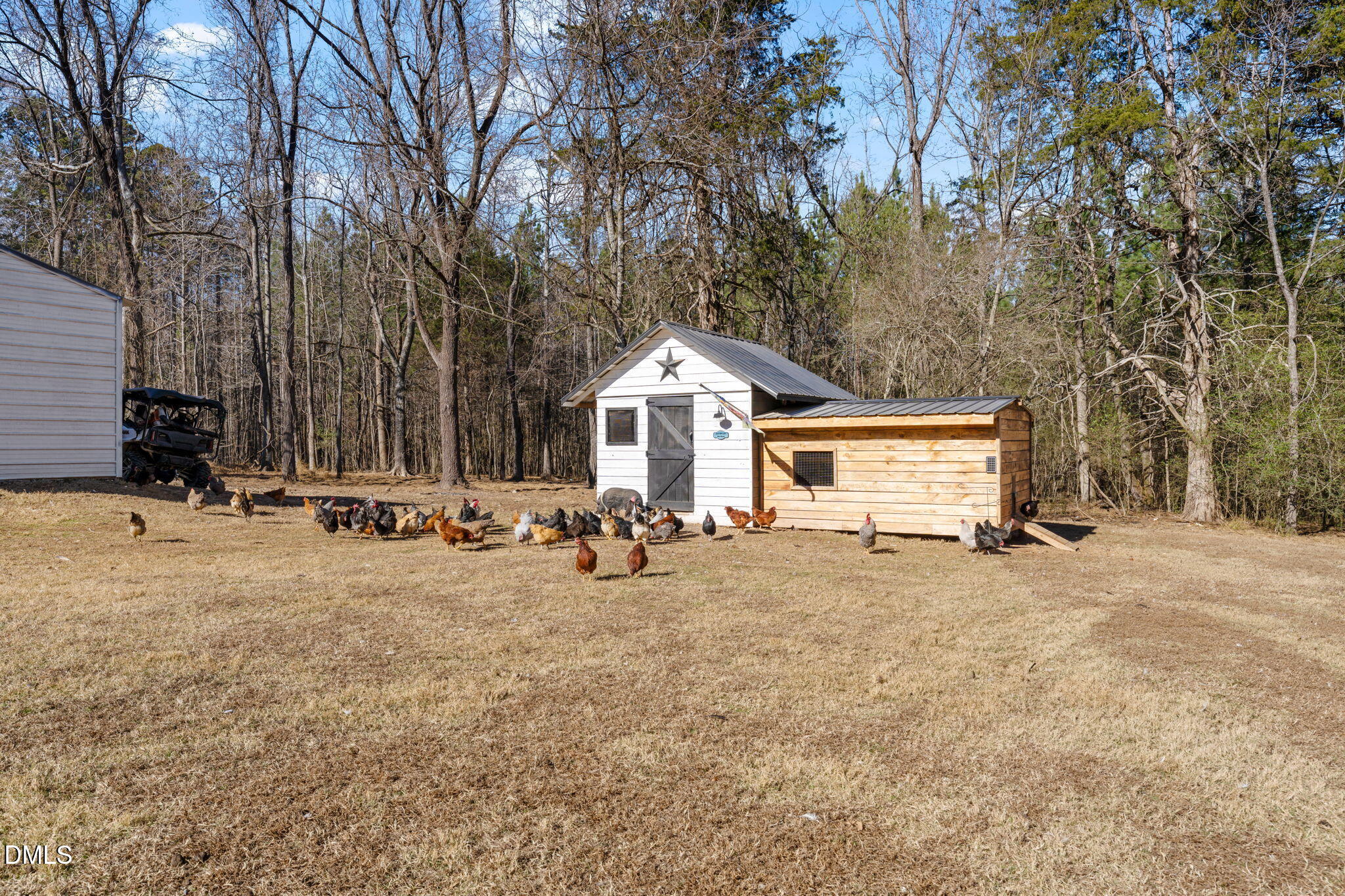 2822 Little River Church Road Hurdle Mills, NC 27541 - Photo 20 of 26 a view of a house with backyard and trees