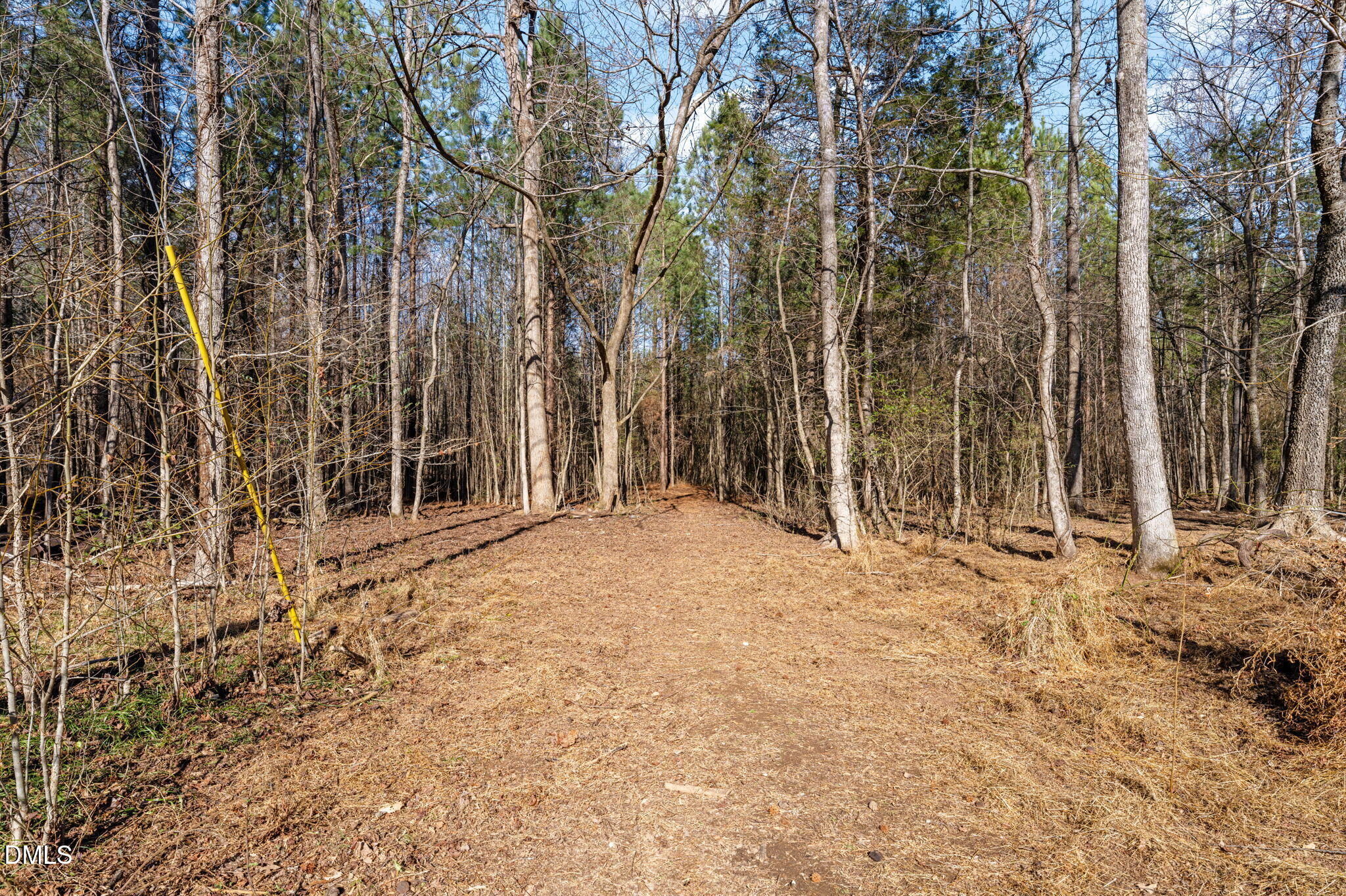 2822 Little River Church Road Hurdle Mills, NC 27541 - Photo 26 of 26 a view of backyard with trees