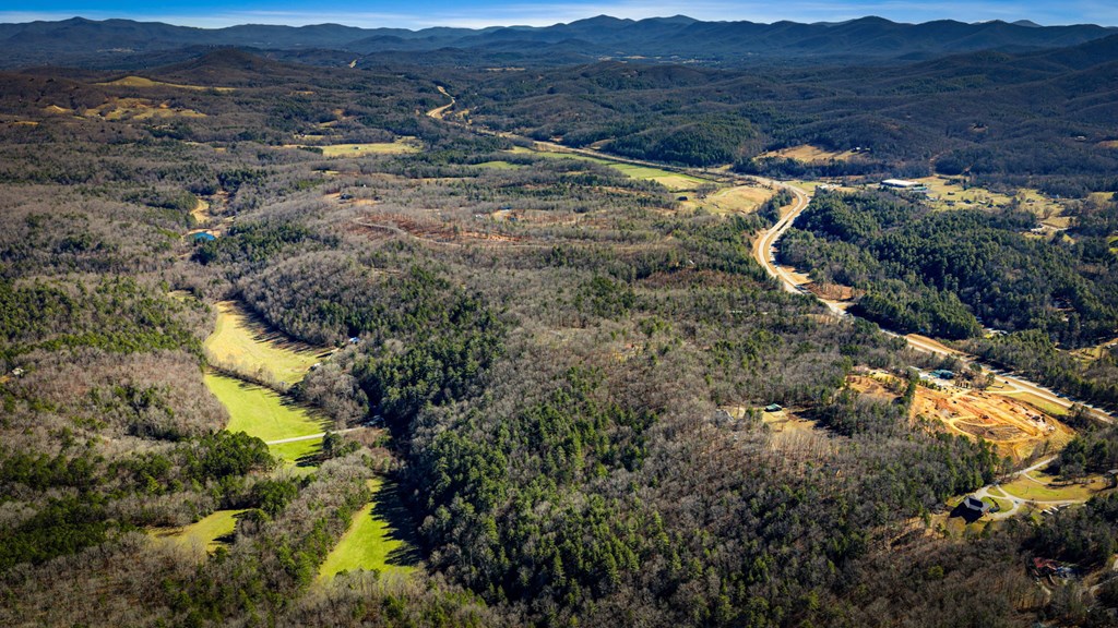32.3 Maple Grove Road Morganton, GA 30560 - Photo 12 of 46 a view of mountains and valleys