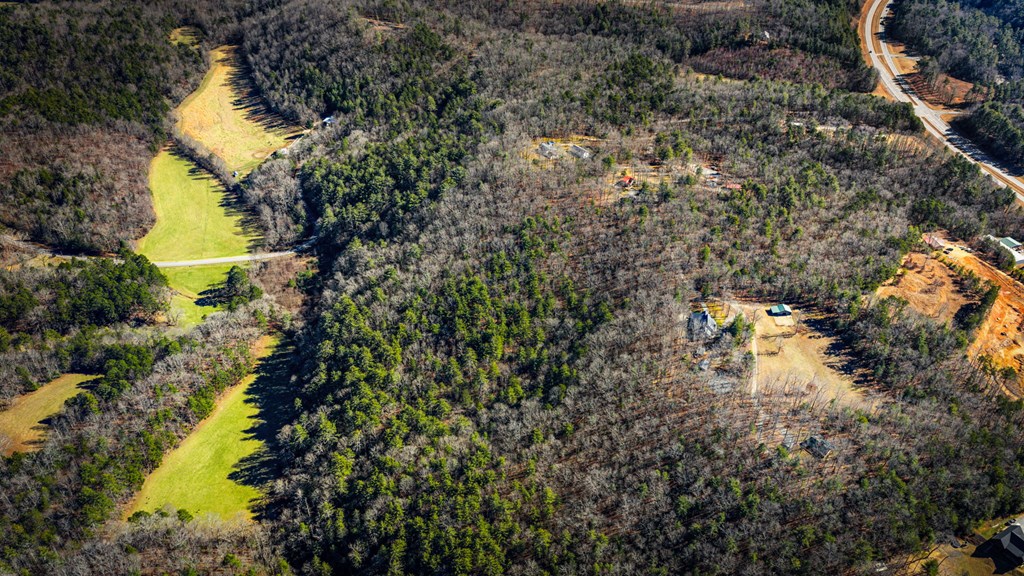 32.3 Maple Grove Road Morganton, GA 30560 - Photo 13 of 46 a view of a lake view