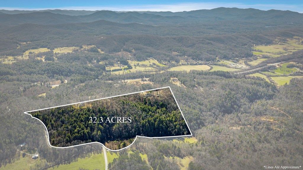 32.3 Maple Grove Road Morganton, GA 30560 - Photo 14 of 46 a view of swimming pool with a yard