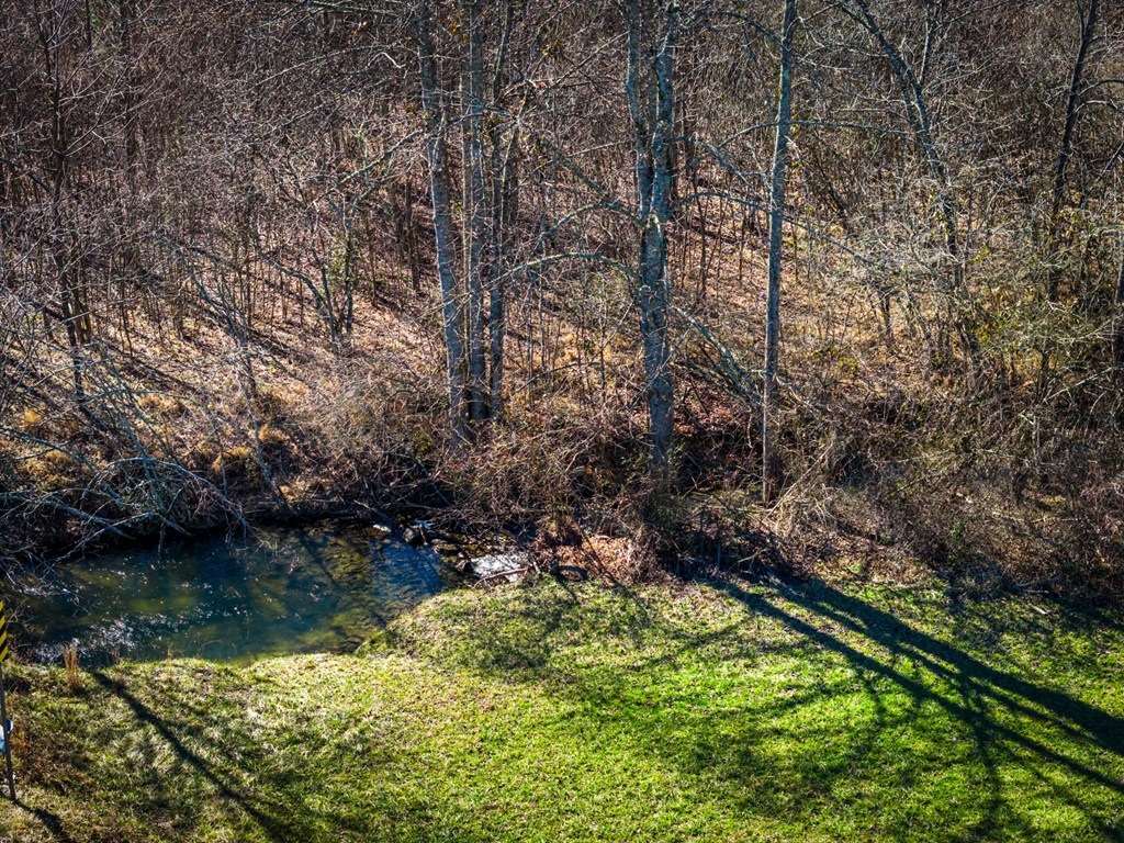 32.3 Maple Grove Road Morganton, GA 30560 - Photo 16 of 46 a backyard of a house with lots of green space