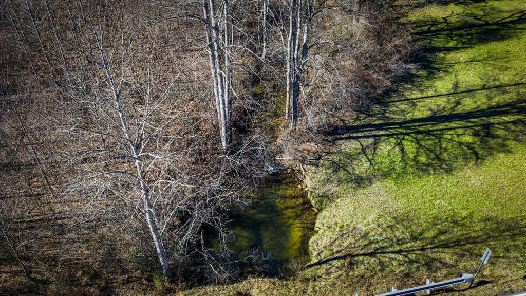 32.3 Maple Grove Road Morganton, GA 30560 - Photo 17 of 46 a view of a garden